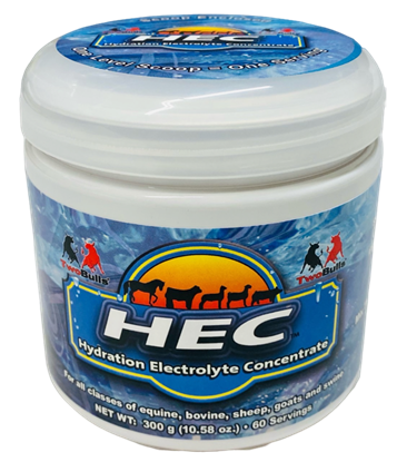 Picture of HEC - Hydration Electrolyte Concentrate